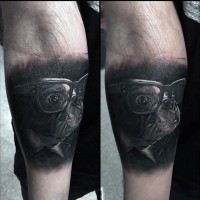 Awesome realistic looking little fog in glasses portrait tattoo on arm