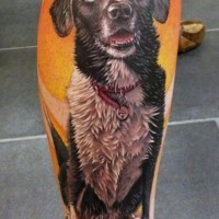 eccezionale realistico foto bel grande cane tatuaggio su gamba