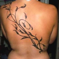 Tatuaje en la espalda,
planta negra sin flores