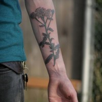 Awesome wild flower forearm tattoo by Kirsten Holliday