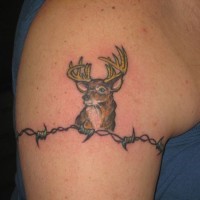 Tatuaje en el brazo,
alambre de espina fino con cabeza de ciervo