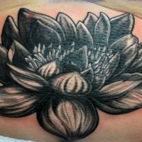 Beautiful black lotus flower tattoo