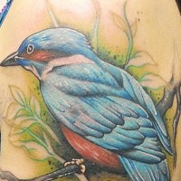 bellissimo uccello blu tatuaggio sulla spalla