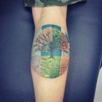 Beautiful circle shaped tattoo on forearm stylized with various seasons tree