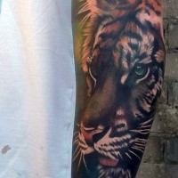 Beautiful colored forearm tattoo of tiger head