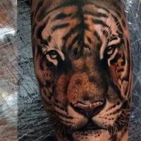 Beautiful colored tiger head tattoo on leg