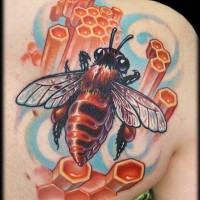 Beautiful colorful 3D like colored beet tattoo on shoulder with honeycombs