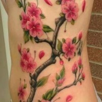 bellissimo colorato ramo di ciliegio con fiori tatuaggio su costolette