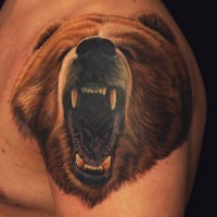 bellissimo colorato testa di orso ruggente tatuaggio