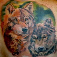 Tatuaje en el hombro, lobos hermosos de colores pardo y gris