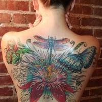 Beautiful coloured dragonfly tattoo on back