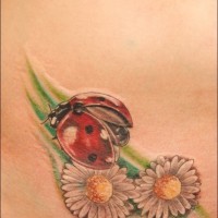 Beautiful coloured ladybug and flower tattoo