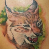 Beautiful designed and colored little wild cat  tattoo on shoulder