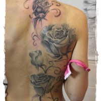 Beautiful detailed massive black and white roses tattoo on whole back