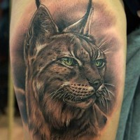 Beautiful detailed realistic portrait of lynx tattoo