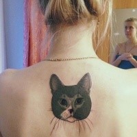 Beautiful for girls style colored upper back tattoo of nice cat head
