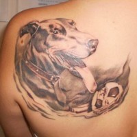 Beautiful gray-ink doberman playing with ball tattoo on back