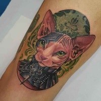 Beautiful illustrative style cat tattoo with ornaments