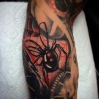 Beautiful illustrative style colored forearm tattoo of spider