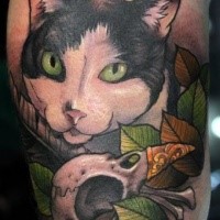 Schön aussehendes farbiges Arm Tattoo der Katze mit Vogel Schädel und Blättern