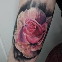 Beautiful looking colored pink rose tattoo on arm