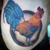 Tatuaje en el costado,  gallo multicolor en el círculo
