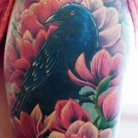 Beautiful painted colored crow tattoo on thigh combined with pink flowers