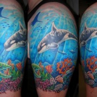 bellissimo dipinto colorato mondo marino con delfino tatuaggio su spalla