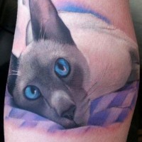 Tatuaje de gato acostado con ojos azules