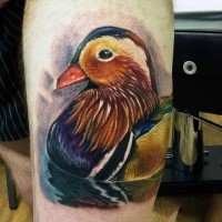Schönes im Realismus Stil farbiges Tattoo mit kleinem Vogel