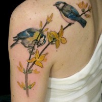 Beautiful realistic bird tattoo on shoulder blade