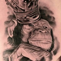 bellissimo realistico inchiostro grigio schimpanze` in corona tatuaggio su scapola