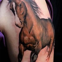 Beautiful realistic horse tattoo