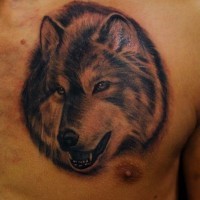Beautiful realistik wolf head tattoo on chest