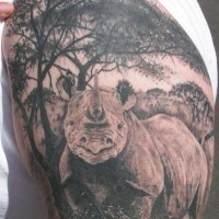 bellissimo rinoceronte su foreste tatuaggio su spalla