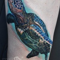 Beautiful sea turtle tattoo by Mike Devries