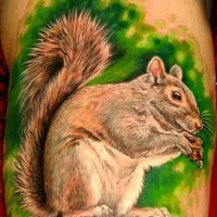 bellissimo scoiattolo tatuaggio con ghianda in foreste