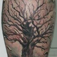 Tatuaje en la pierna, árbol viejo y tréboles