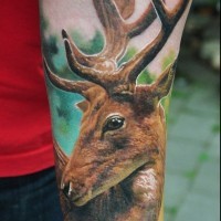 Beautiful very detailed colored big deer tattoo on arm