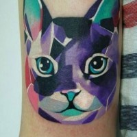 Tatuaje en el antebrazo,
cabeza de gato de varios colores