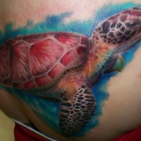 Schöne Aquarell Schildkröte Tattoo