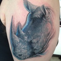 Tatuaje en el brazo, rinoceronte lindo durmiente