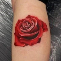 Big 3D like red colored rose tattoo on leg