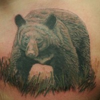Tatuaje en el pecho, oso pardo en la hierba