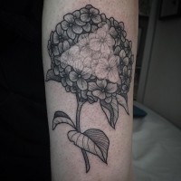 Große schwarze schön bemalte Blume Tattoo am Arm mit weißem Dreieck