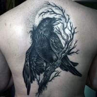 Big black ink gorgeous crow tattoo on upper back