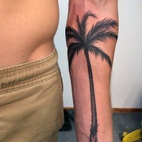 Tatuaje en el antebrazo, palmera negra sencilla