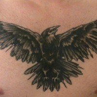Tattoo von großer schwarzer Krähe im Sturzflug  auf der Brust
