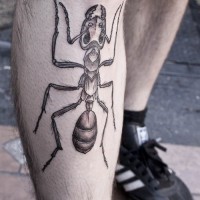 Großes cooles Tattoo von grauer Ameise am Bein
