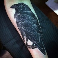 Tatuaje en el antebrazo, cuervo hermoso detallado realista